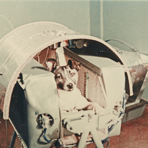 Laika in der Raumkapsel "Sputnik 2"